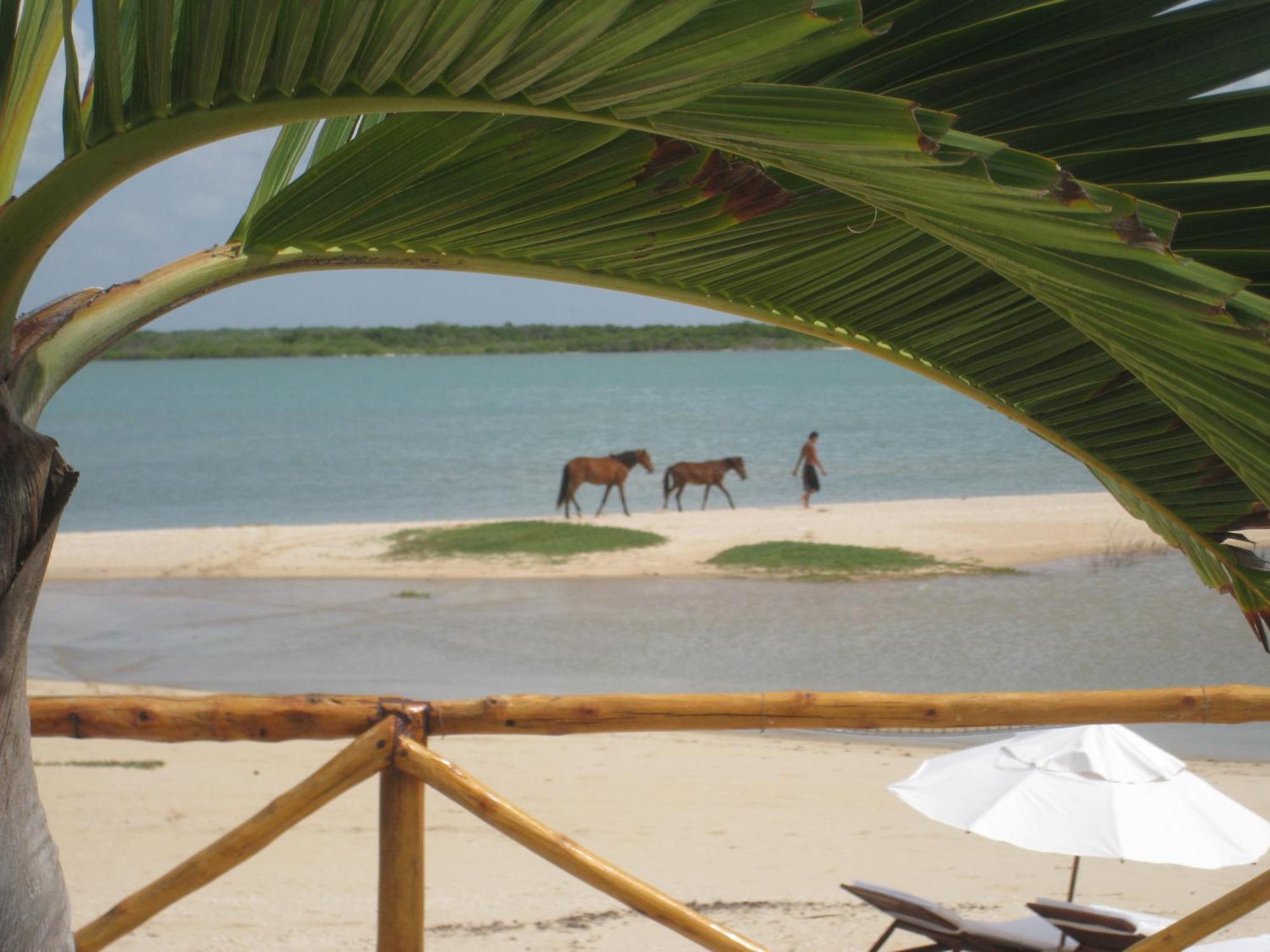Amagali Pousada Galinhos Extérieur photo